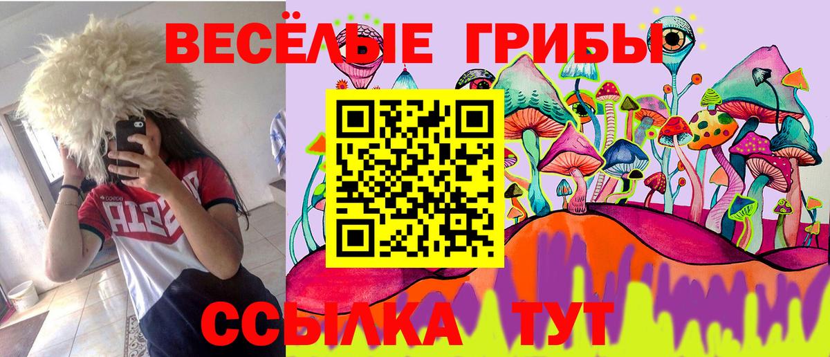 Галлюциногенные грибы GOLDEN TEACHER  Вход с VPN  Галлюциногенные грибы GOLDEN TEACHER  Нарьян-Мар 